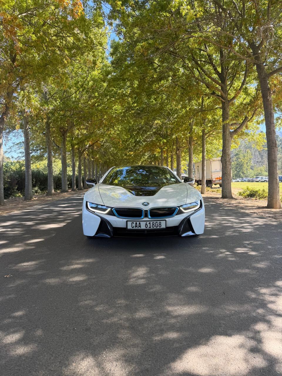 BMW i8 beneath a line of trees